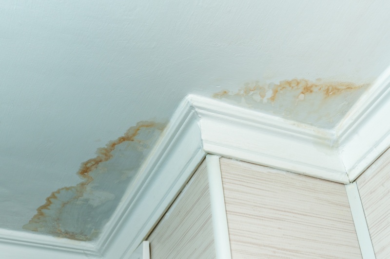 Check for hidden leaks in your house